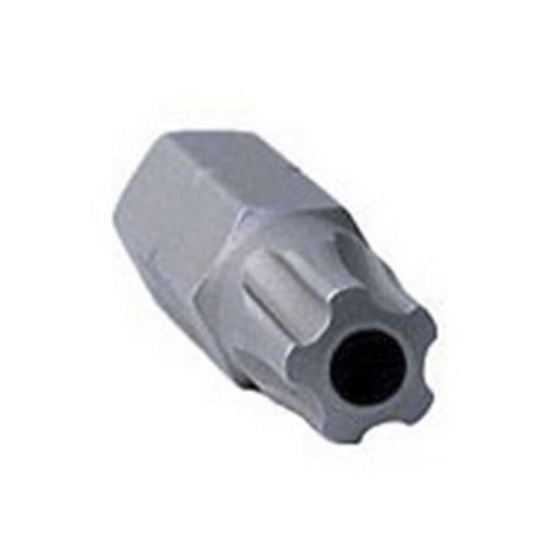 IPR25 TORX BIT 1" (25MM)
